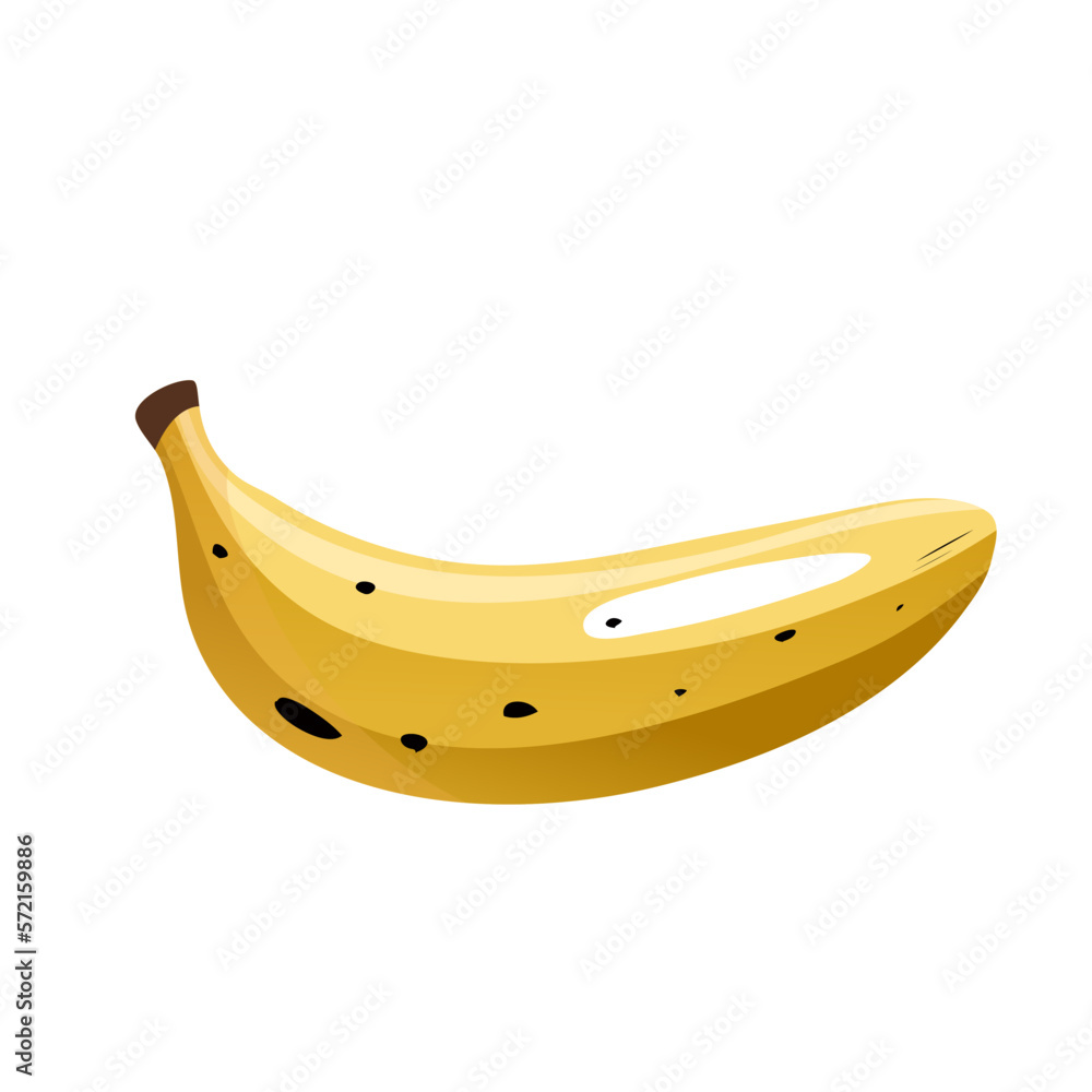 Ripe banana. Vector flat illustration. Closed fruit. Natural sweet vegetarian product. Isolated food on white background.