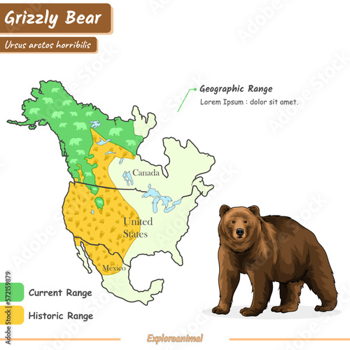 geographic range of grizzly bears