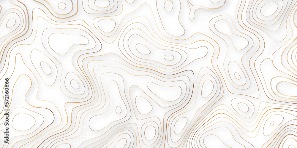 Luxury golden paper cut style topography concept background. Vector illustrator
