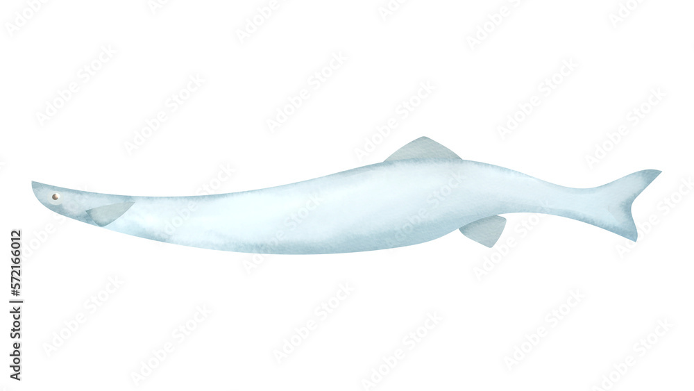 シラウオの水彩風イラスト
Ice fish. Watercolor style illustration. シラウオの水彩風イラスト
Ice fish. Watercolor style illustration.