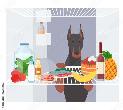 Hungry dog looking inside refrigerator flat vector