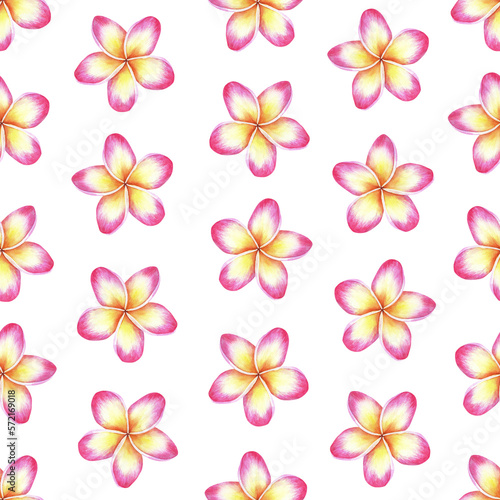 Pink-yellow plumeria seamless pattern.Frangipani flower. Watercolor illustration.Isolated on a white background. For the design of wrapping paper, fabric, women's clothing, notepads, napkins