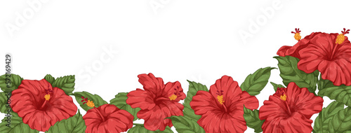 Hibiscus flowers, botanical border. Blossomed floral background drawn in vintage style. Blooming Hawaii plants with leaves, decorative edge, garden banner. Realistic retro colored vector illustration