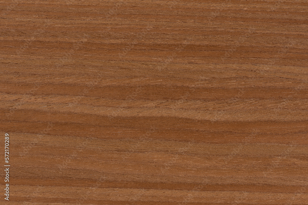 Cherry wood texture. Qualitative texture of wild cherry wood