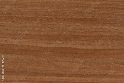 Cherry wood texture. Qualitative texture of wild cherry wood. Manufacture of furniture or interior elements from rare wood species, cherry wood veneer with a horizontal pattern.