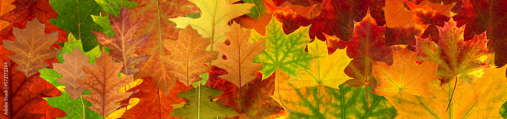 autumn leaves on an orange blurry background autumn leaves on an orange blurry background