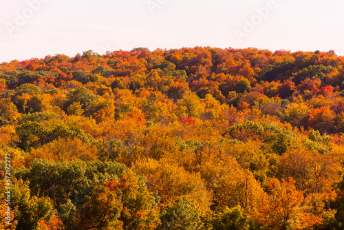 Landscape of a Canadian forest during a beautiful Indian summer