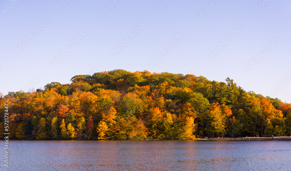 Landscape of a Canadian forest at the lake during a beautiful Indian summer Landscape of a Canadian forest at the lake during a beautiful Indian summer