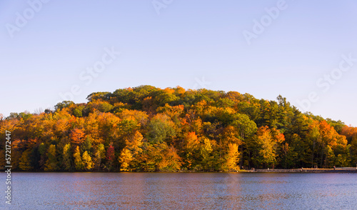 Landscape of a Canadian forest at the lake during a beautiful Indian summer