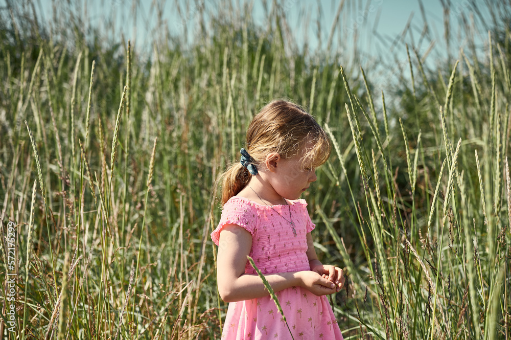 Little girl in tall grass in Iceland Little girl in tall grass in Iceland