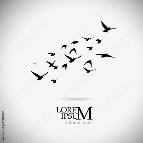 Flying birds logo. Free birds. Vector illustration
