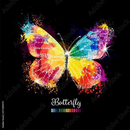 Photography Beautiful colorful butterfly on a black background