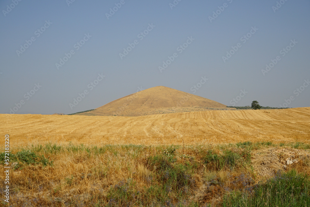 Obraz premium timulus on the field