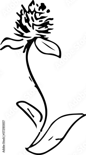 Wallpaper Mural Wild flower Torontodigital.ca