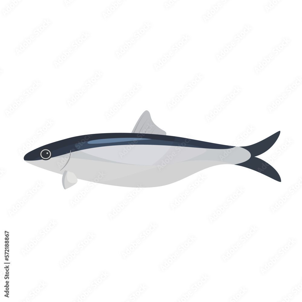 Vector illustration of herring on a white background. Vector illustration of herring on a white background.