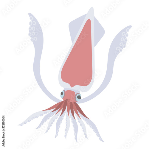 ケンサキイカのフラットなベクターイラスト
Swordtip squid. Flat designed vector illustration.