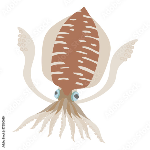 コウイカのフラットなベクターイラスト
Cuttlefish. Flat designed vector illustration.