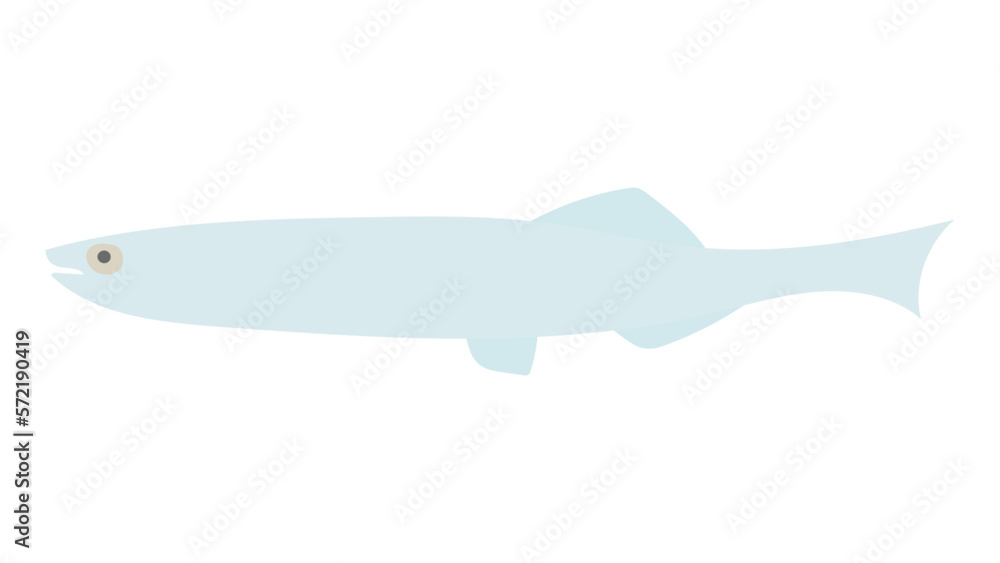 シラスのフラットなベクターイラスト
White bait. Flat designed vector illustration. シラスのフラットなベクターイラスト
White bait. Flat designed vector illustration.