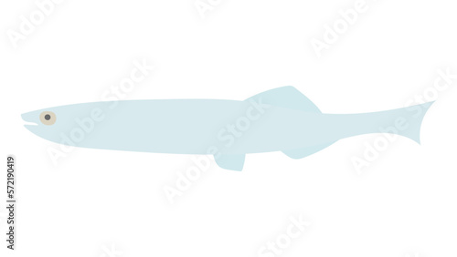 シラスのフラットなベクターイラスト
White bait. Flat designed vector illustration.