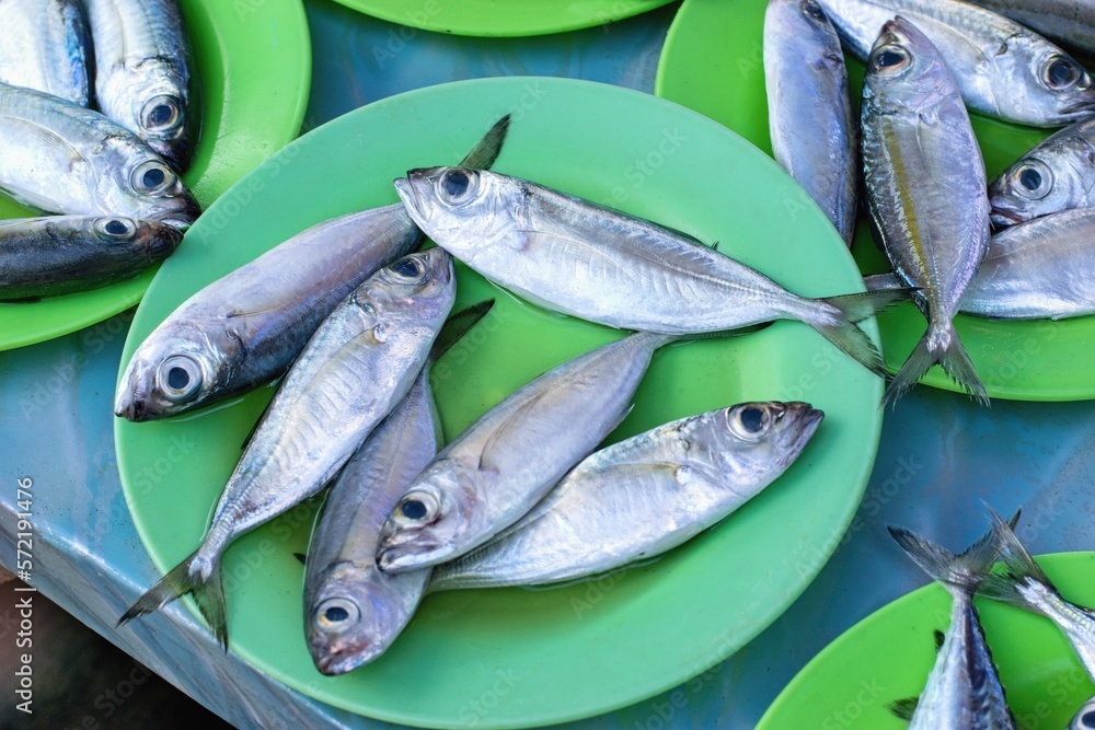 Fresh sea fish in the traditional indonesian fisherman street market Fresh sea fish in the traditional indonesian fisherman street market