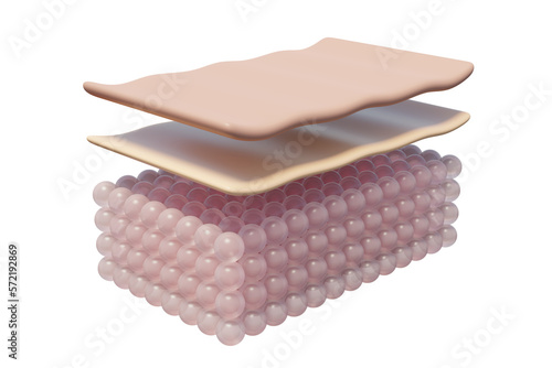 Molecules skin layer concept, Reduce up saggy and wrinkled, Collagen and vitamin, Beauty skin cell, Cosmetic solution, Moisturizer and Serum for Freckle advertising, 3d rendering illustration, png 3d