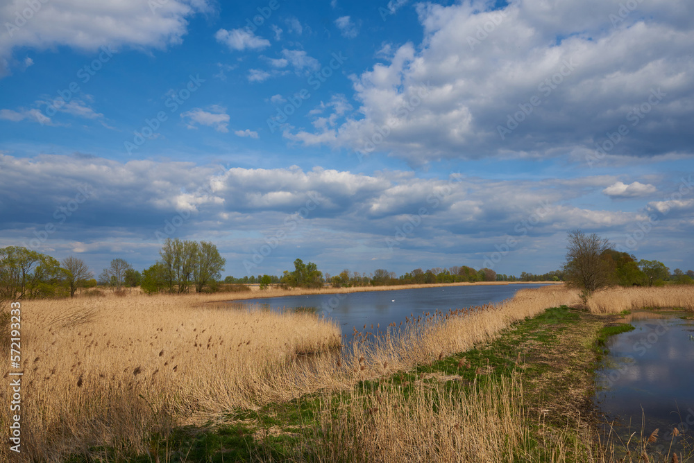 Teichland Linum im Frühjahr in Brandenburg	