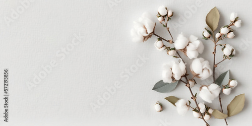 Cotton flowers with branches and leaves on white background. Copy space for text. Generative AI