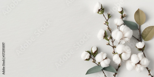 Cotton flowers with branches and leaves on white background. Copy space for text. Generative AI