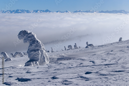 Fototapeta Naklejka Na Ścianę i Meble -  Pilsko view of the Tatra Mountains, Pilsko widok na tatry