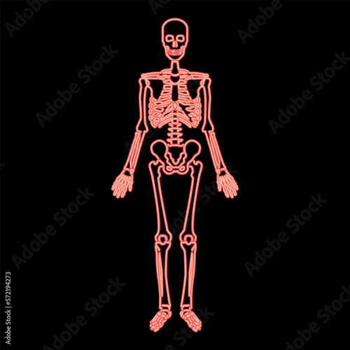 Neon skeleton human red color vector illustration image flat style