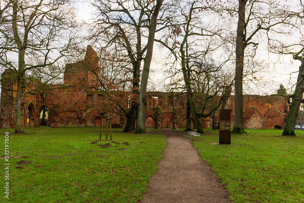 Klosterruine Eldena in Greifswald 