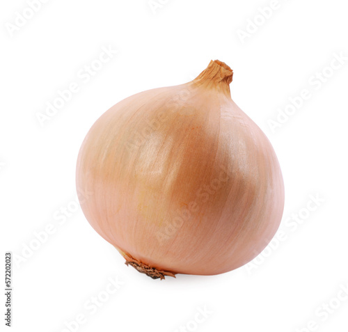Wallpaper Mural One yellow fresh onion isolated on white Torontodigital.ca