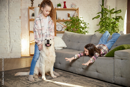 Beautiful purebreed dog, sand color American retriver playing with kids. Children look delighted and cheerful. Concept of friendship, family, care, animal