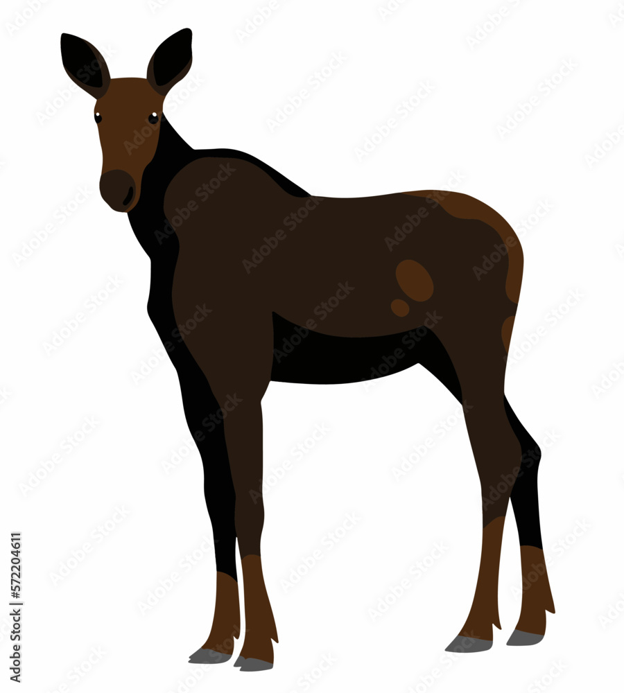 moose cartoon vector illustration isolated on white