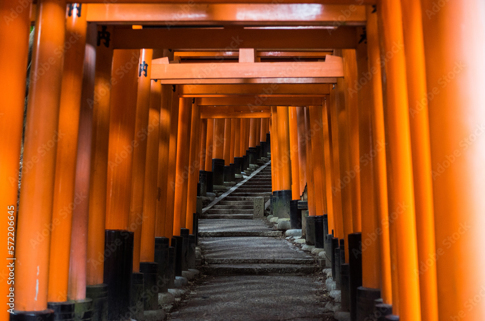 tori shrine in kyoto country - fushimi inari tori shrine in kyoto country - fushimi inari