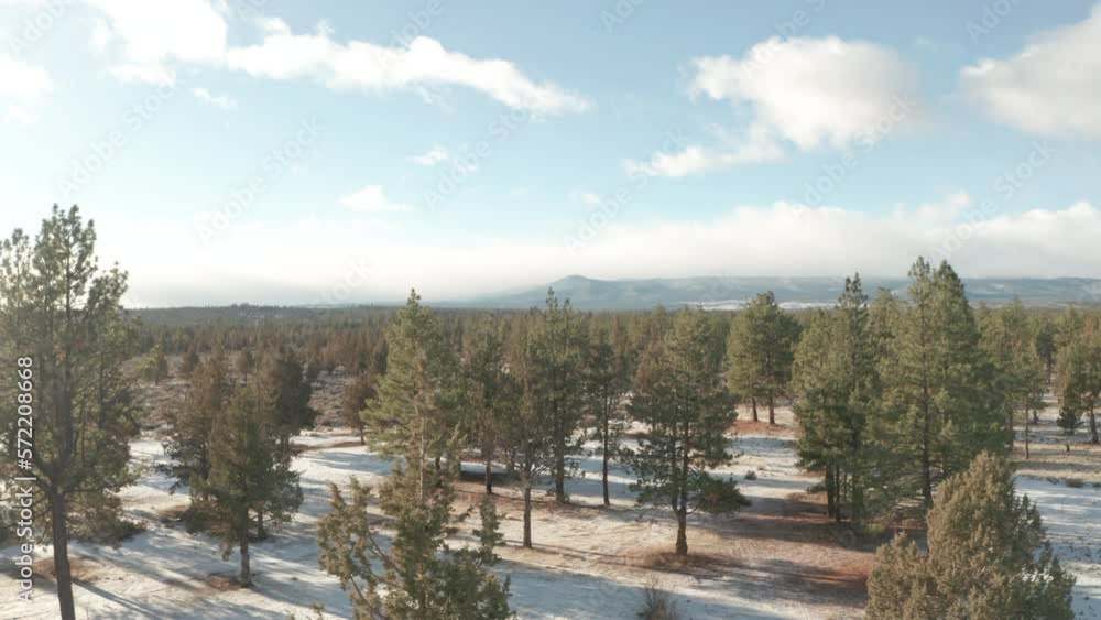Slow aerial slider shot over sparse evergreen scrubland USA Slow aerial slider shot over sparse evergreen scrubland USA