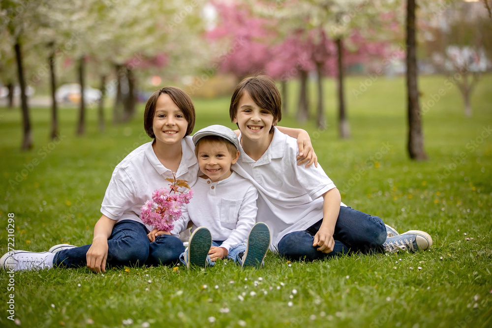 Beautiful family with kids, mom, dad, three boys and a dog, playing in park together Beautiful family with kids, mom, dad, three boys and a dog, playing in park together