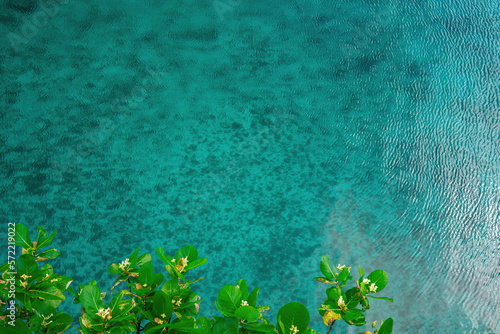 View from above of turquoise, clear water in the sea of â€‹â€‹the Phillipienen. Tropical background with lots of copy space and leaves with flowers at the bottom.