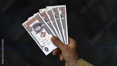 Mongolia Togrog growing pile of money in hand concept 3d illustration