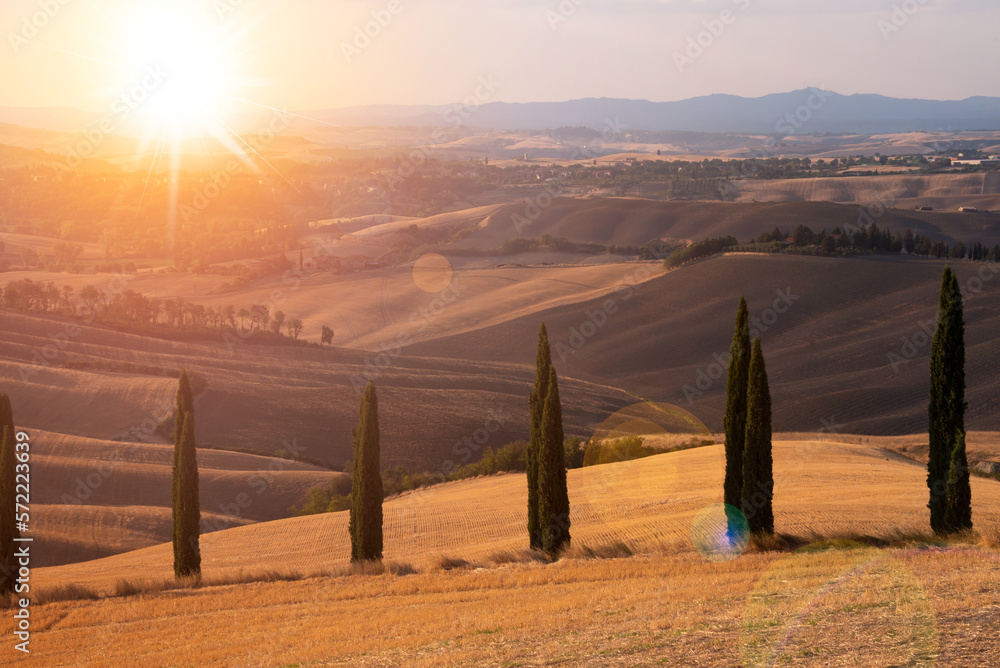 Road with cypresses on sunset in Tuscany, Italy