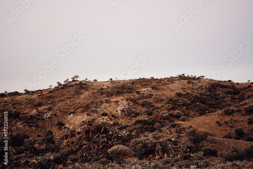 Arid bush of Broken Hill photo