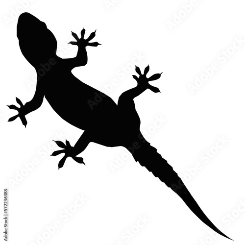 silhouette of a lizard