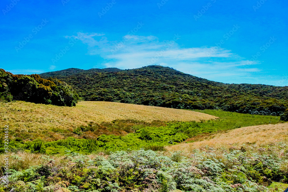 Mountain valley landscape photography in Hortain Plains in Sri Lanka. 