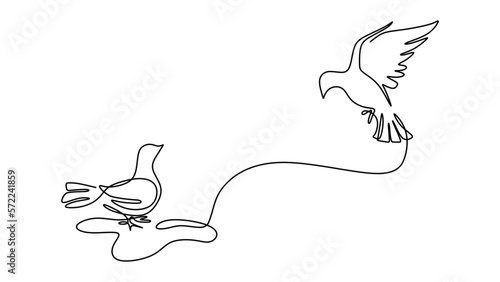 One single line of two pigeons isolated on white background.