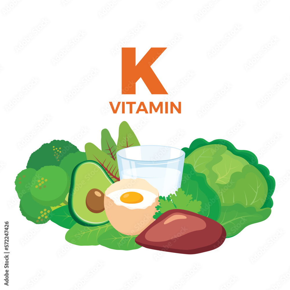 Vitamin K in food icon vector. Vitamin K food sources vector