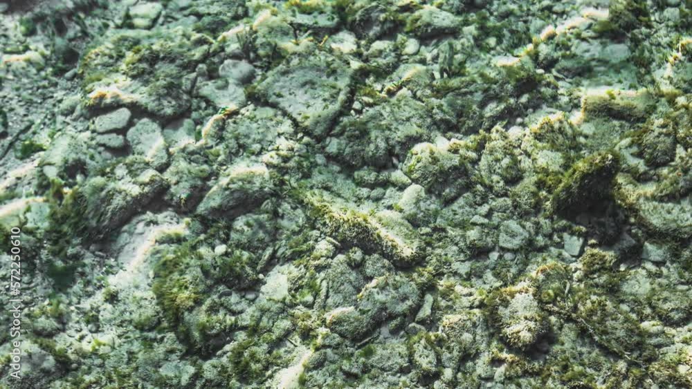 Underwater Lake Stones Texture Underwater Lake Stones Texture