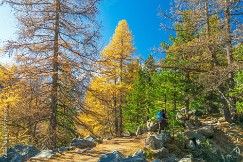 Herbstwanderung im sonnigen Val Morteratsch, Pontresina, Engadin, Graubünden, Schweiz
 photo