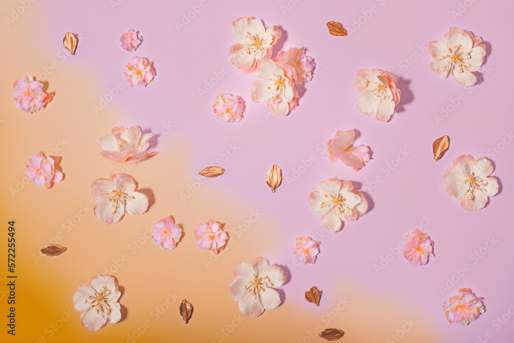 White cherry tree flowers scattered over a pink background, levitation, spring flowers conception, generated ai White cherry tree flowers scattered over a pink background, levitation, spring flowers conception, generated ai