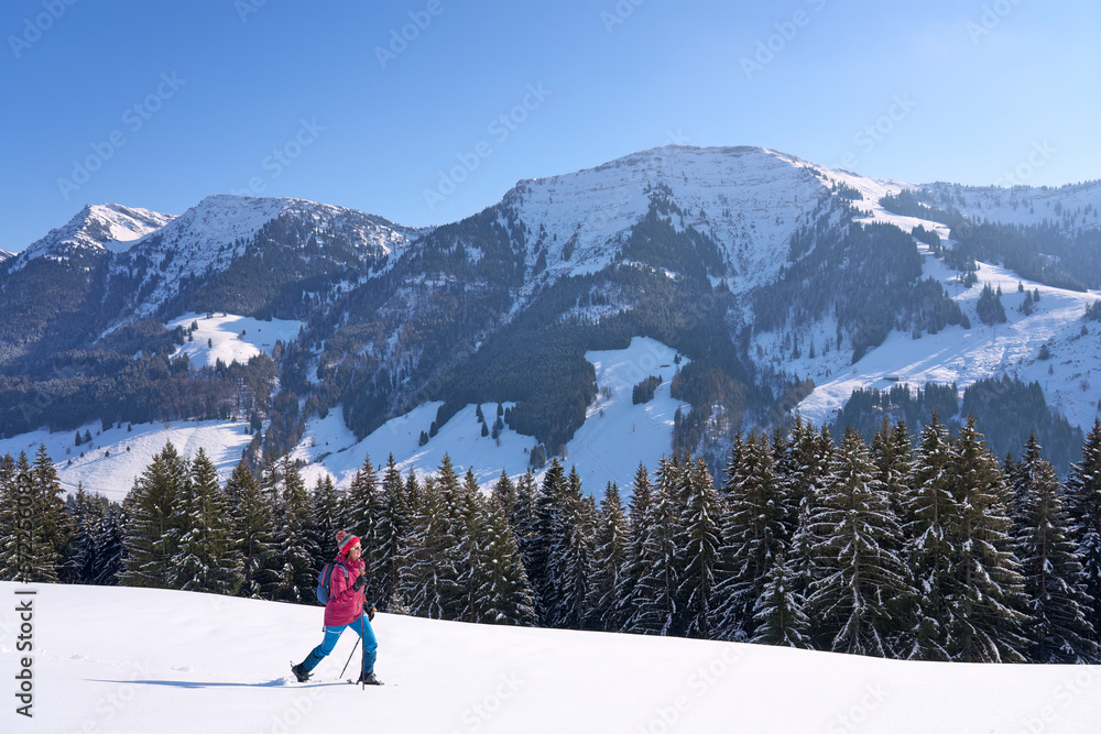nice and active senior woman snowshoeing in deep powder snow below Mount Hochgrat in the mountains of the Allgau alps near Oberstaufen and Steibis, Bavaria, Germany nice and active senior woman snowshoeing in deep powder snow below Mount Hochgrat in the mountains of the Allgau alps near Oberstaufen and Steibis, Bavaria, Germany