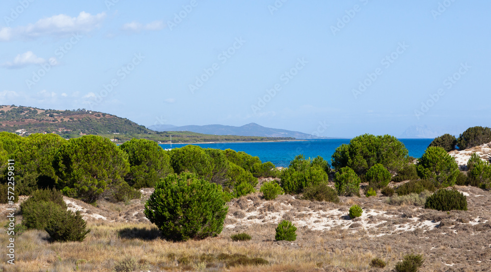 Green Italian pines and blue water of Mediterranean sea on Sardinia island in Italy.